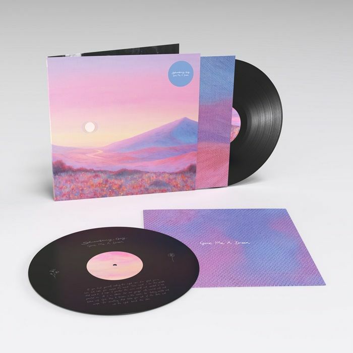 STRAWBERRY GUY - Give Me A Dream vinyl sleeve