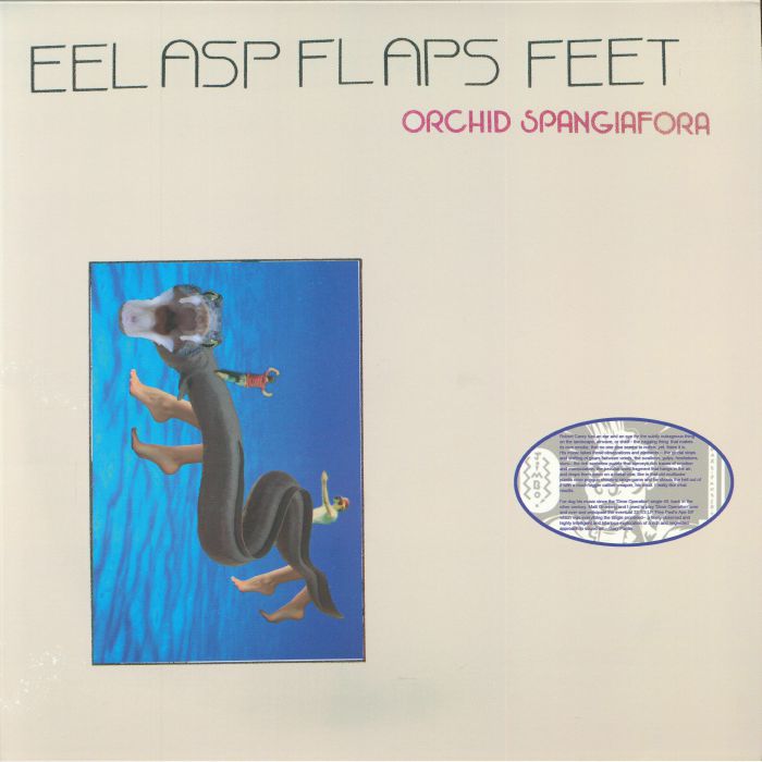 ORCHID SPANGIAFORA - Eel Asp Flaps Feet vinyl sleeve