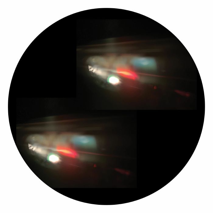 TIGERSKIN - Image vinyl sleeve