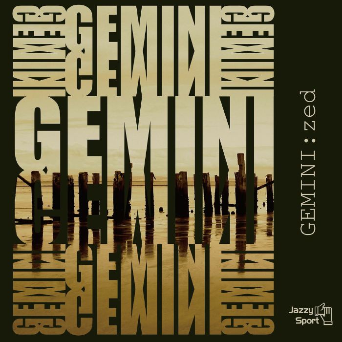 GEMINI - Zed vinyl sleeve