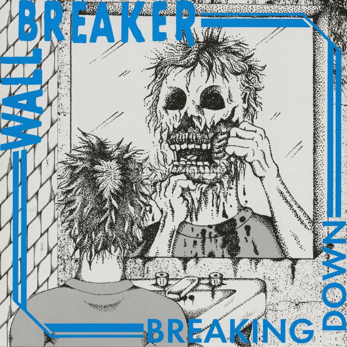 WALL BREAKER - Breaking Down vinyl sleeve