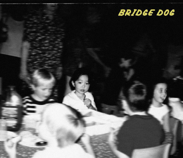 BRIDGE DOG - Auto Fictions vinyl sleeve