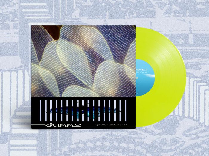 DUMMY - Do You Love The Color Of The Sky? vinyl sleeve