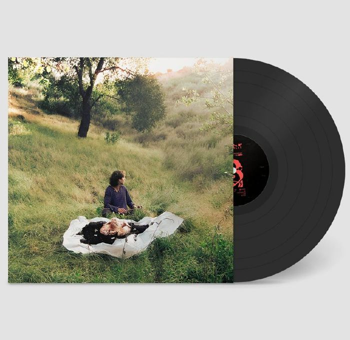 HARTLEY, Lane - No Home vinyl sleeve