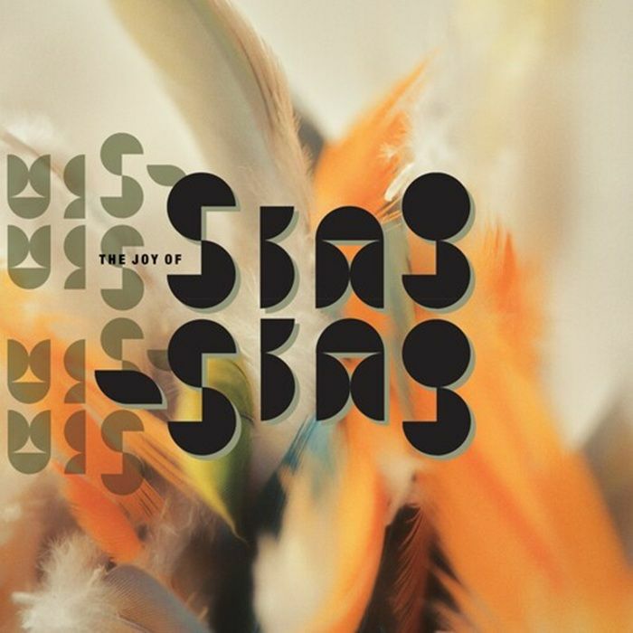SING SING - The Joy Of Sing Sing vinyl sleeve