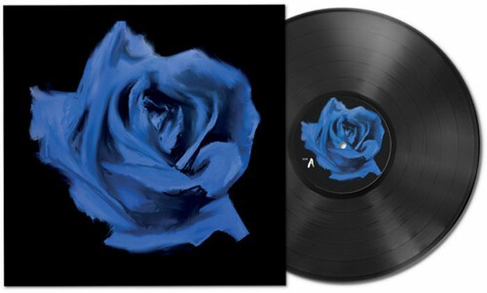 CURRENT JOYS - Rosebud vinyl sleeve