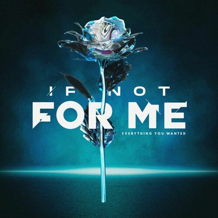 IF NOT FOR ME - Everything You Wanted vinyl sleeve