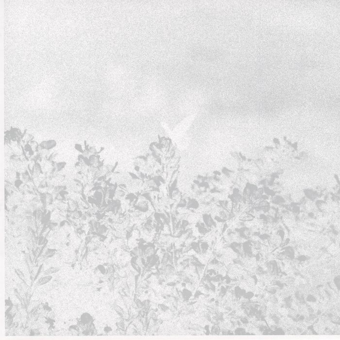 MARWAN - Troebel Water vinyl sleeve