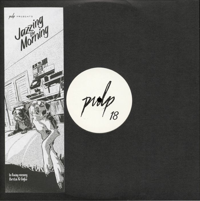 HANNA/MARTIAN TIN CAN/PAKA PROJECT/DETROIT'S FILTHIEST/SEAFOAM/INLAND KNIGHTS/TOKA PROJECT - Jazzing The Morning vinyl sleeve