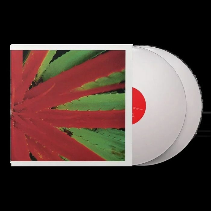JEJUNE - This Afternoons Malady vinyl sleeve