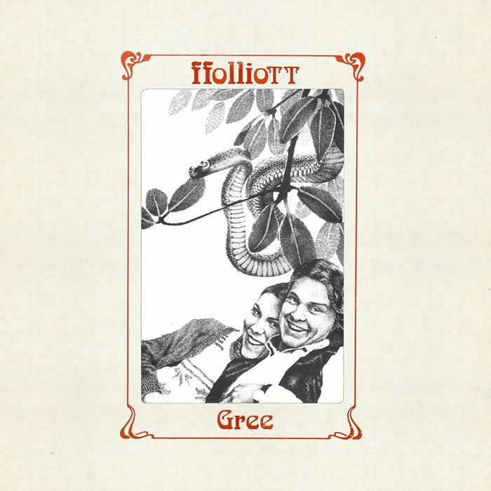 FFOLLIOTT - Gree vinyl sleeve