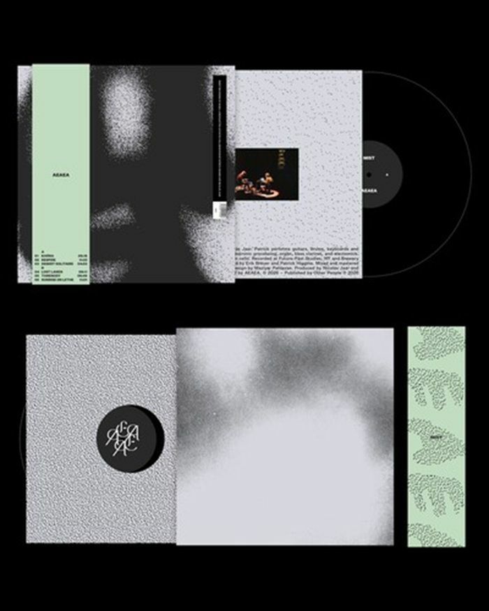 AEAEA - Mist vinyl sleeve