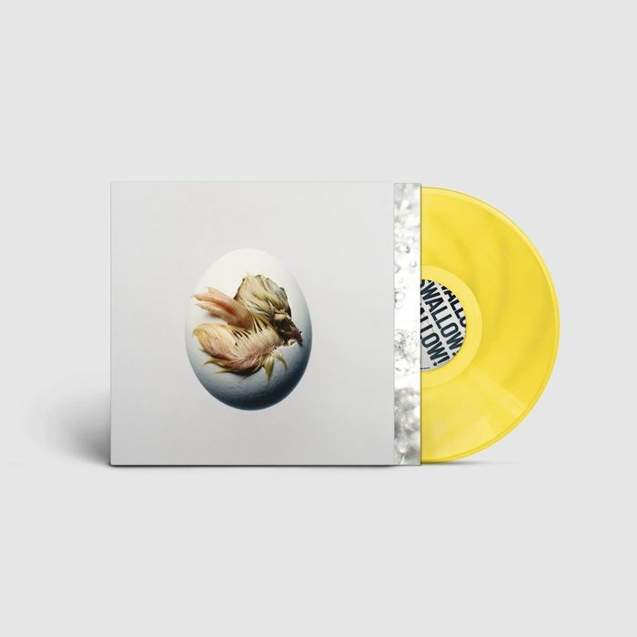 SHYGIRL - Swallow vinyl sleeve