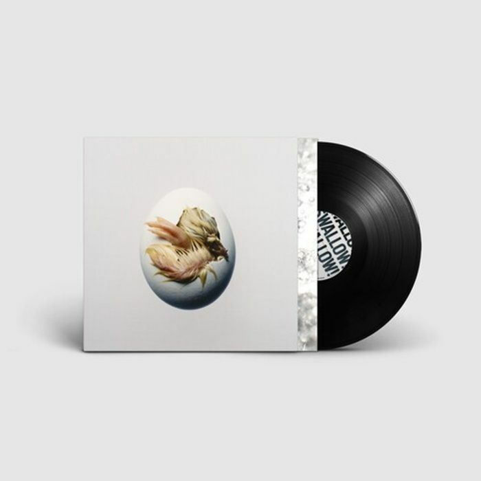 SHYGIRL - Swallow vinyl sleeve