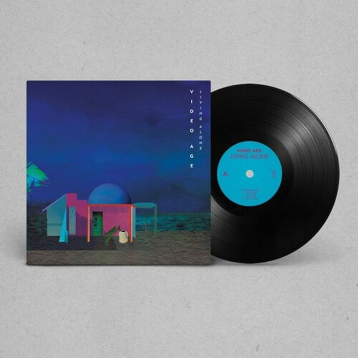 GRACIEHORSE - Breaking & Entering vinyl sleeve