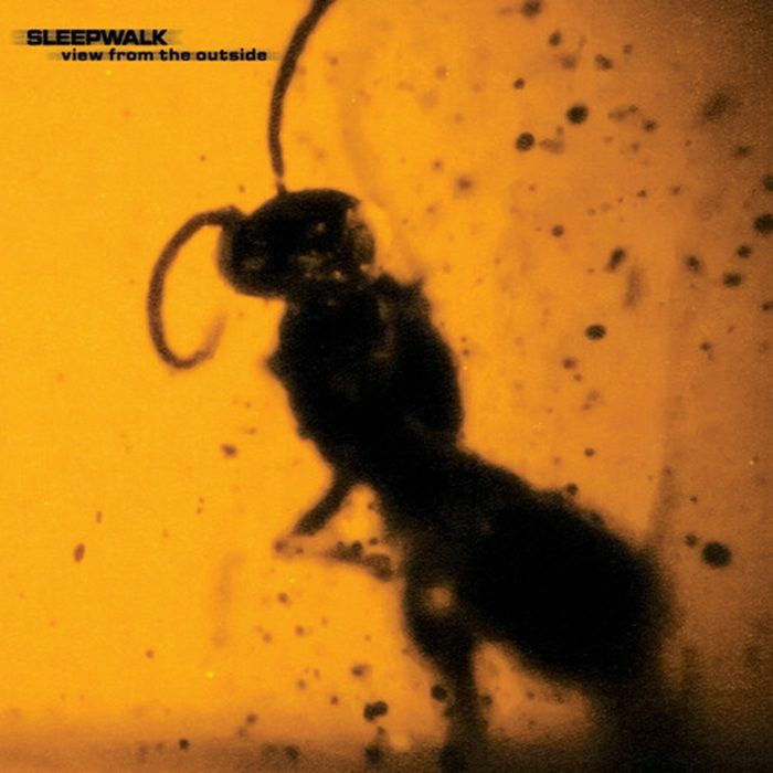 SLEEPWALK - View From The Outside vinyl sleeve
