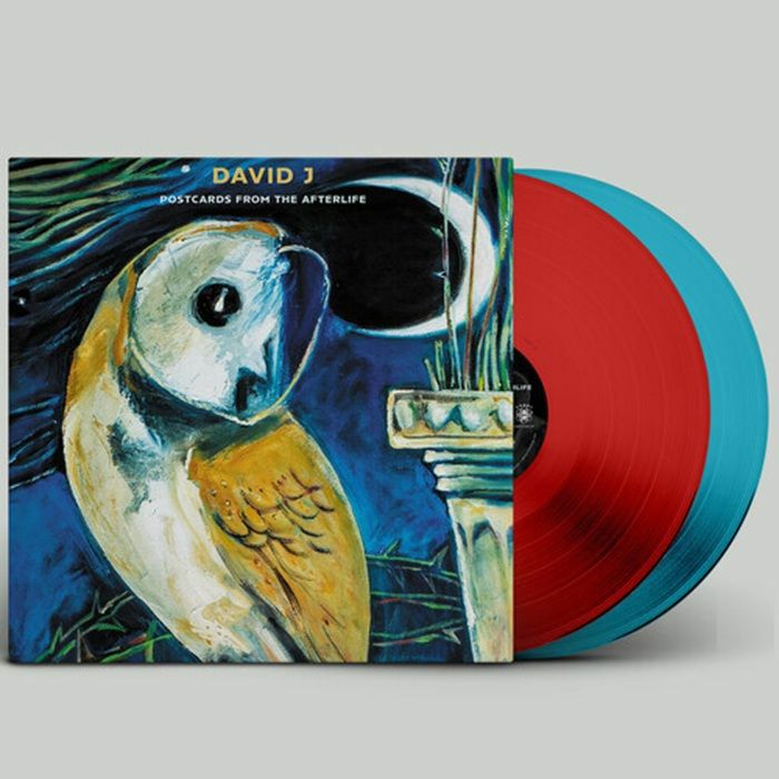 DAVID J - Postcards From The Afterlife vinyl sleeve
