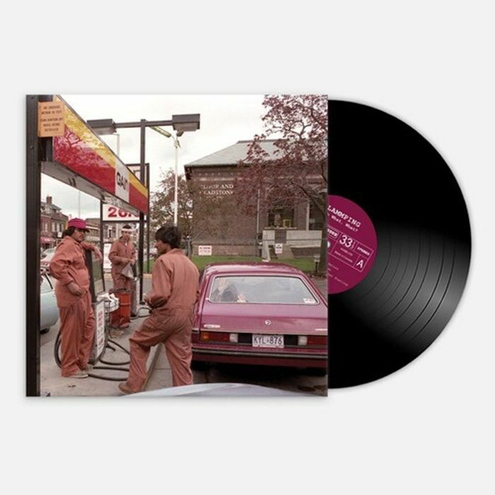 LAMMPING - So What What? vinyl sleeve
