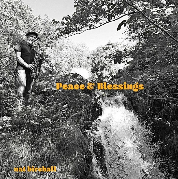 BIRCHALL, Nat - Peace & Blessings vinyl sleeve
