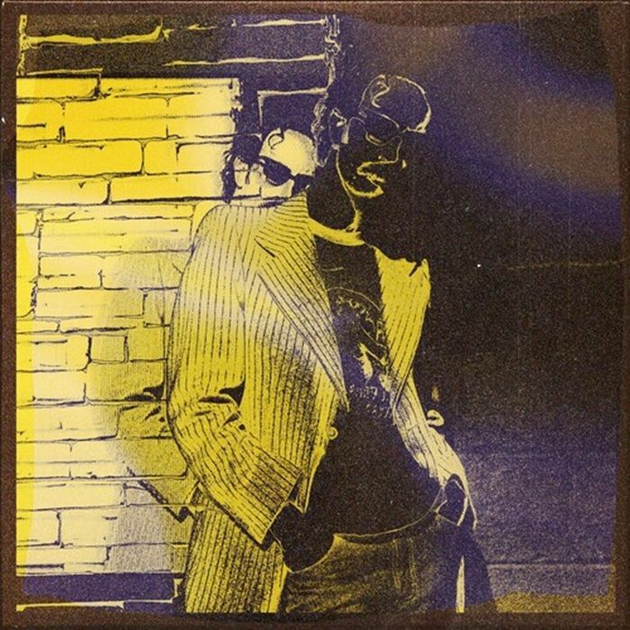 SEAN THOMPSON'S WEIRD EARS - Inner Principles vinyl sleeve