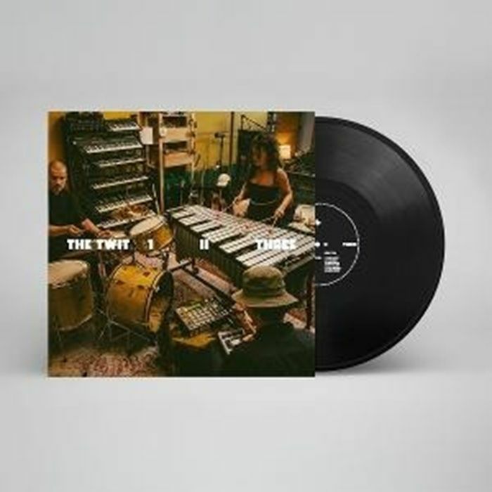 TWIT 1 II THREE, The - The Twit 1 II Three vinyl sleeve