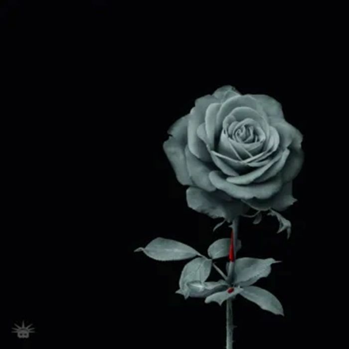 IDR/RAIZ - Love Songs vinyl sleeve