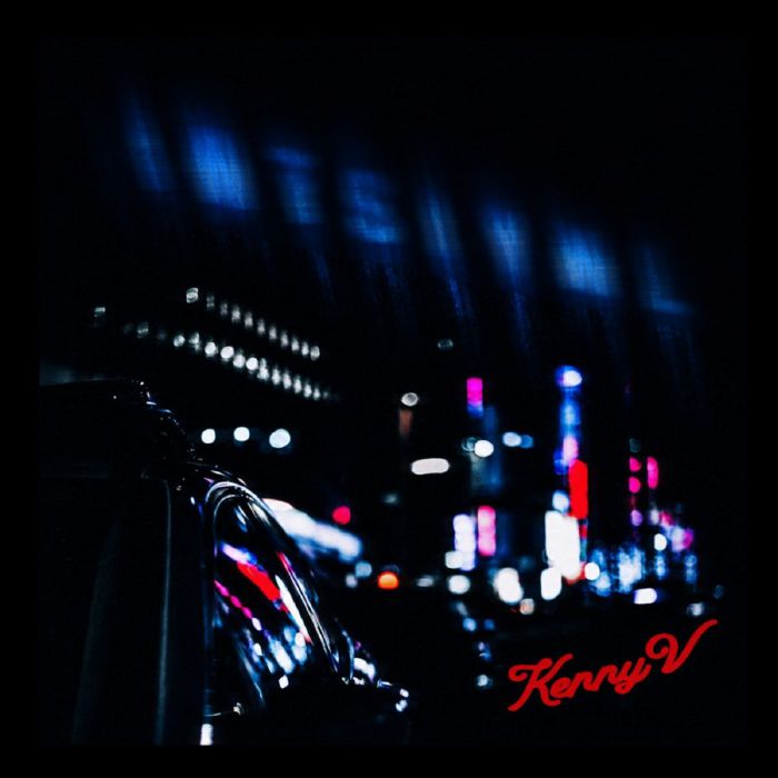 SERENGETI - KennyV vinyl sleeve