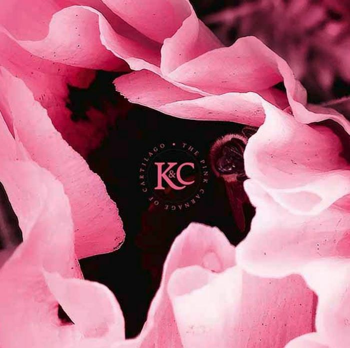 KOLMAN & CALVERT - The Pink Carnage Of Cartilago vinyl sleeve