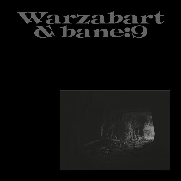 WARZABART/BANE9 - Riddim De Mareuil vinyl sleeve