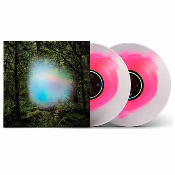 GHOSTS OF THE FOREST - Ghosts Of The Forest (reissue) vinyl sleeve