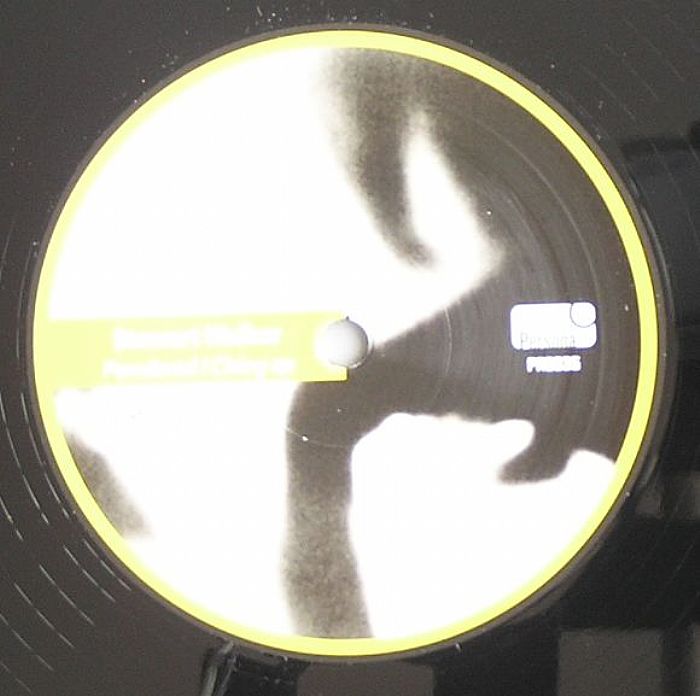 WALKER, Stewart - Powdered IChing EP vinyl sleeve