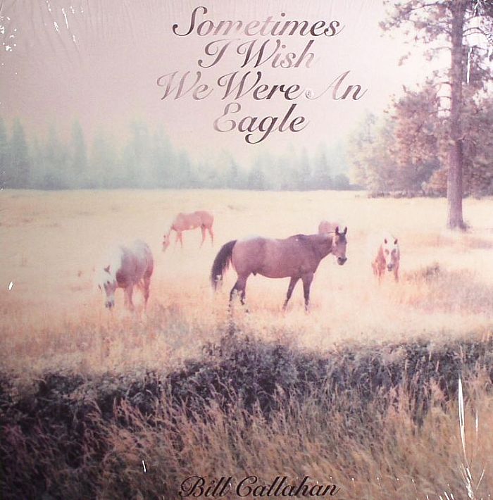 Bill Callahan - Sometimes I Wish We Were An Eagle vinyl sleeve