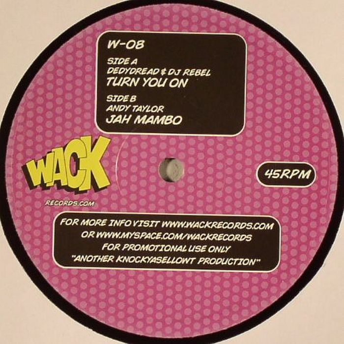 DEDYDREAD/DJ REBEL/ANDY TAYLOR - Turn You On vinyl sleeve