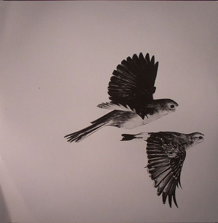 FREEEZ, Mariposa vinyl sleeve
