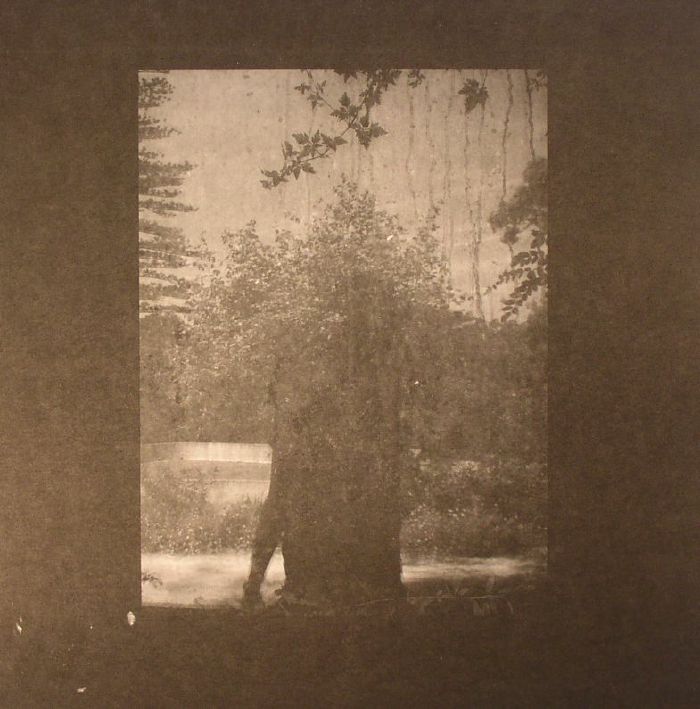 GROUPER - Ruins vinyl sleeve