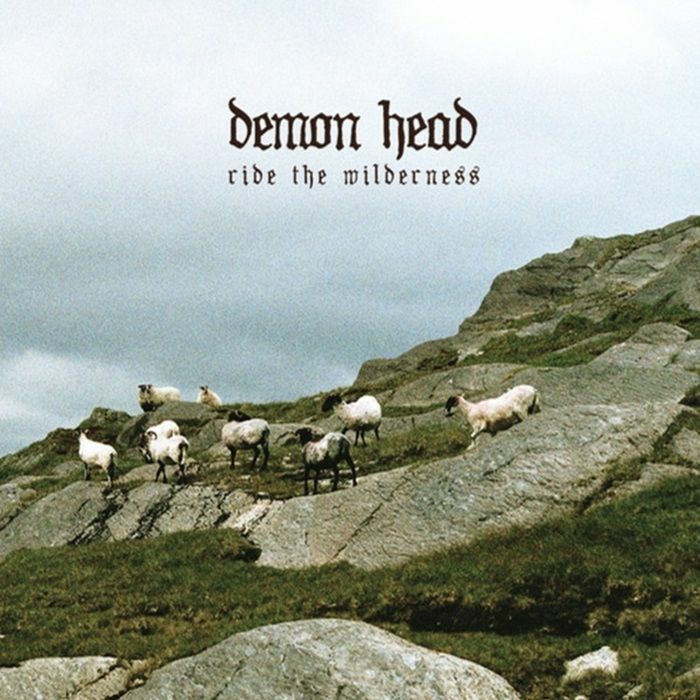DEMON HEAD - Ride The Wilderness vinyl sleeve