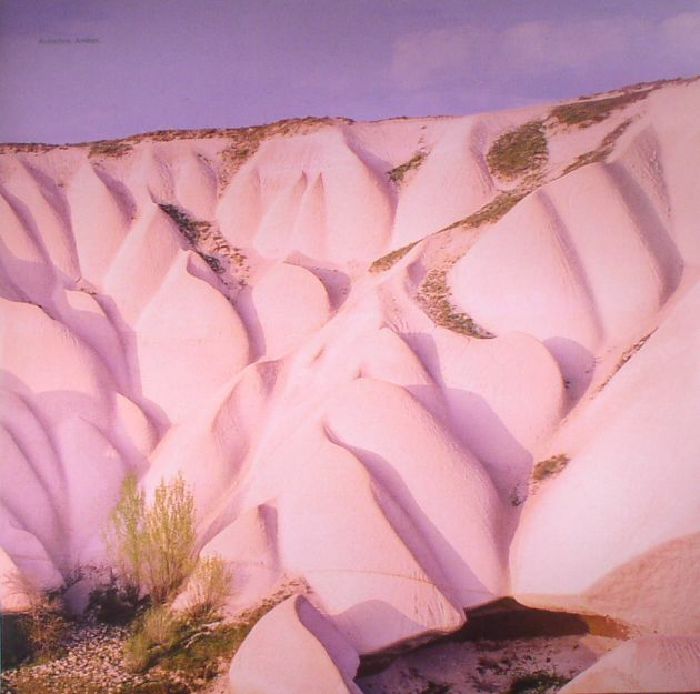 Autechre - Amber (reissue) vinyl sleeve