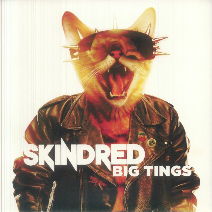 SKINDRED - Big Tings vinyl sleeve