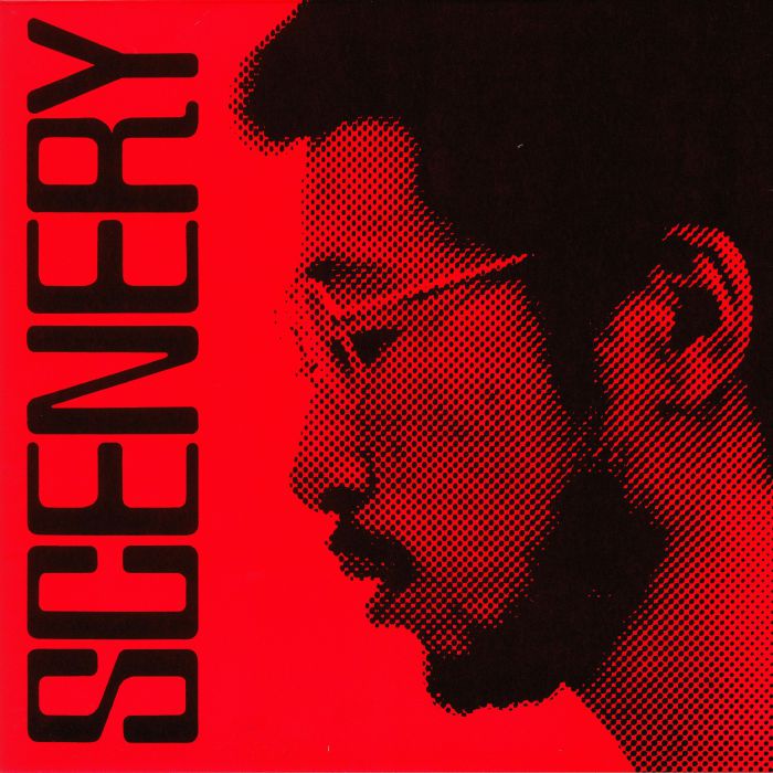 FUKUI, Ryo - Scenery (half speed remastered) vinyl sleeve