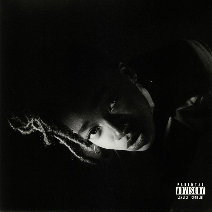 LITTLE SIMZ - Grey Area vinyl sleeve