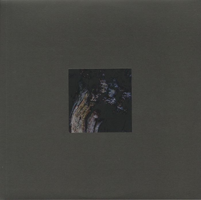 BRUNNEN - The Garden Of Perpetual Dreams vinyl sleeve