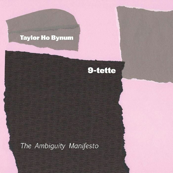 TAYLOR HO BYNUM 9 TETTE - The Ambiguity Manifesto vinyl sleeve