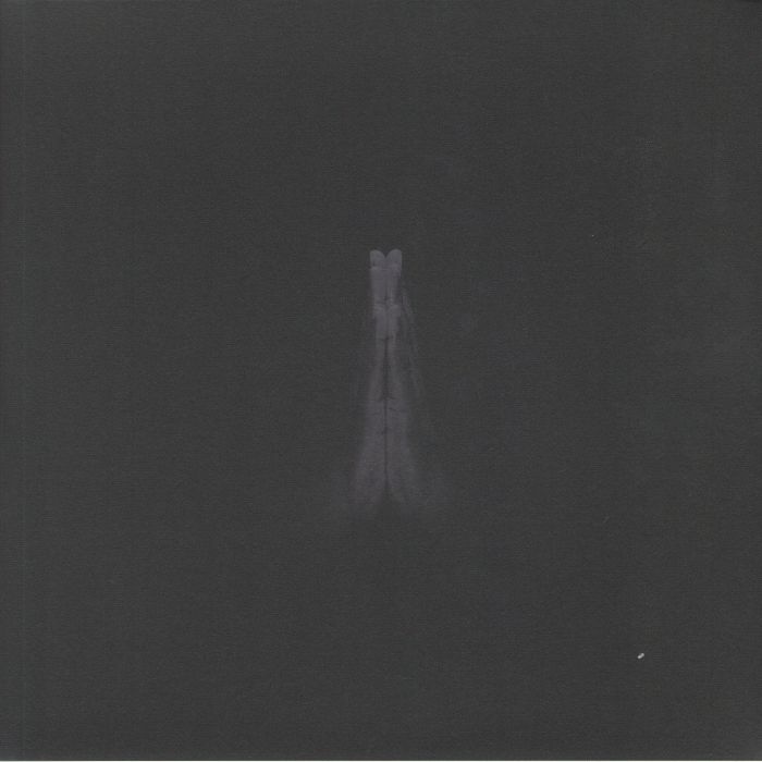 SAULT - Untitled (Rise) vinyl sleeve