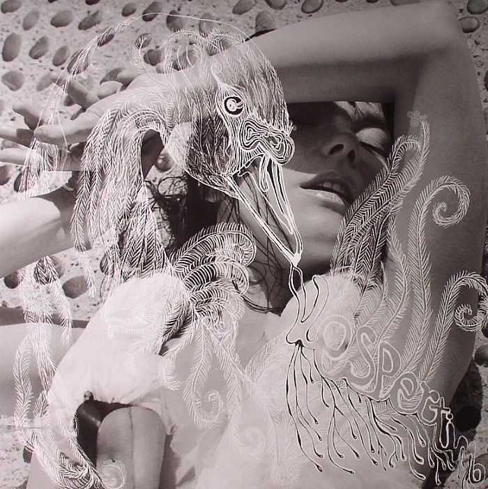 BJORK - Vespertine vinyl record - One Little Indian label