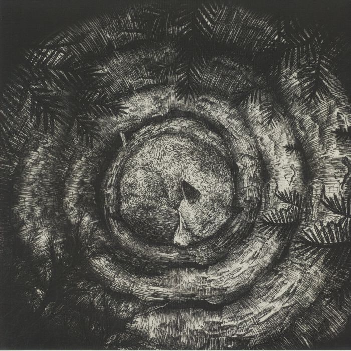 FORHIST - Forhist vinyl sleeve