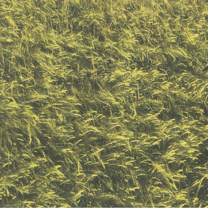 SKEE MASK - Pool vinyl sleeve