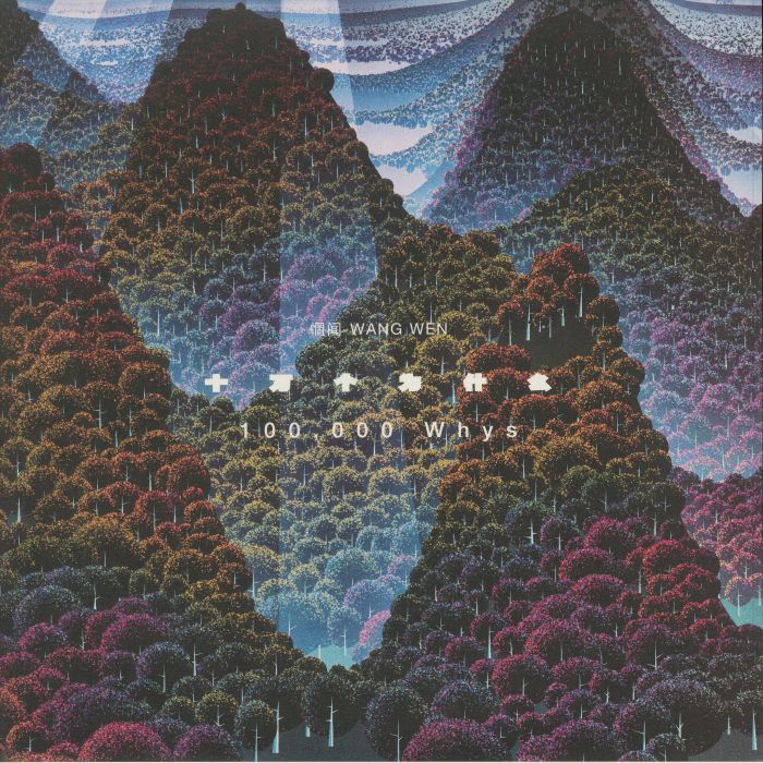 WANG WEN - 100000 Whys vinyl sleeve