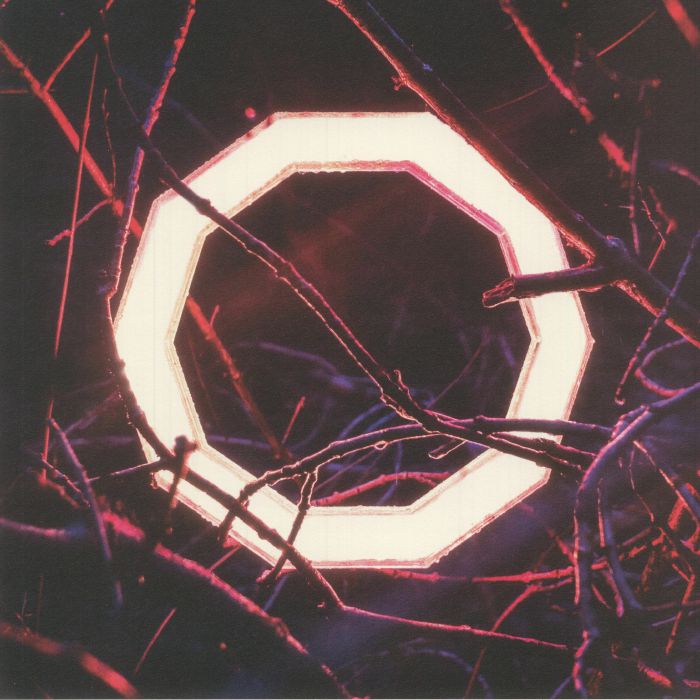 HYBRID MINDS - Reflections vinyl sleeve