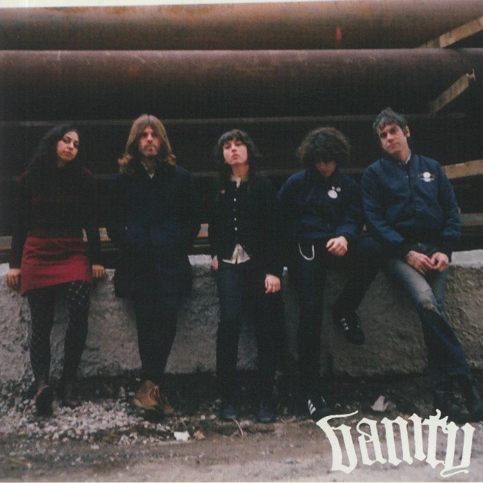 VANITY - Rarely If Ever vinyl sleeve