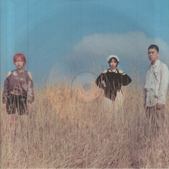 NTSKI/TAKAO - On Divination In Sleep vinyl sleeve